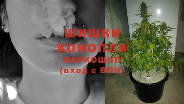 прущие крисы Аркадак