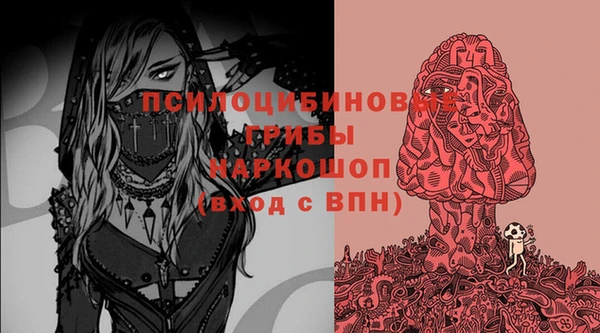 мет Арсеньев