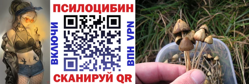 Псилоцибиновые грибы Psilocybe Строитель
