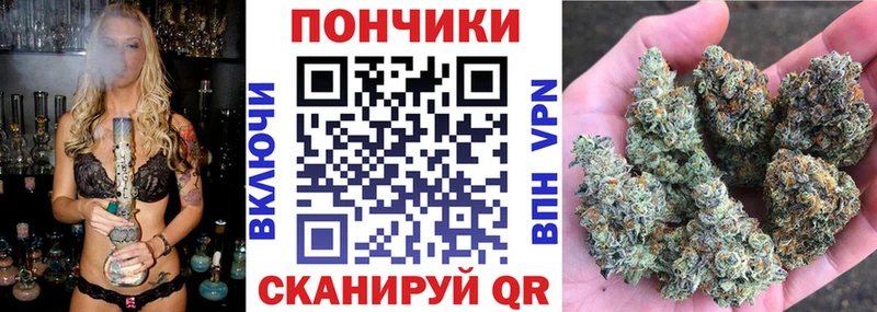 Бошки марихуана гибрид  Строитель 